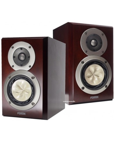 Fostex GX100MA (Box)