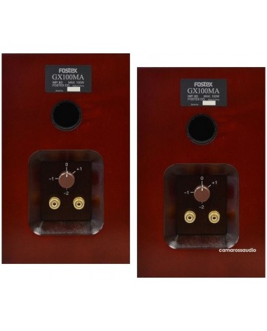 Fostex GX100MA (Box)