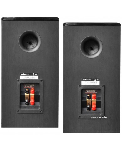 Polk Audio TSi 200 Polk Audio TSi 200