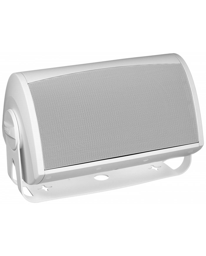 Definitive Technology AW5500 Outdoor Speaker