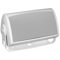 Definitive Technology AW5500 Outdoor Speaker (White)