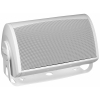 Definitive Technology AW5500 Outdoor Speaker