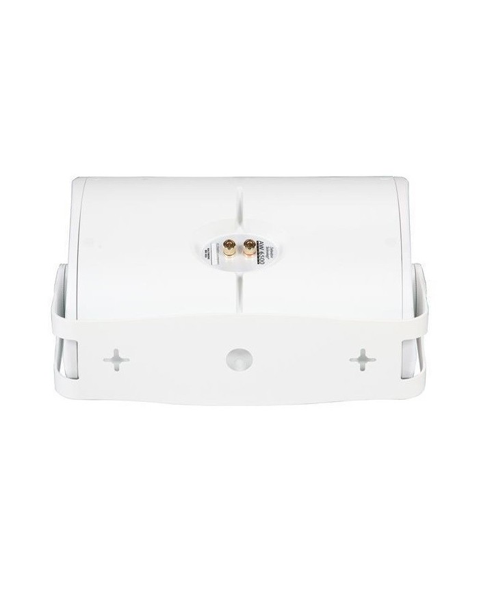 Definitive Technology AW6500 Outdoor Speaker (White)