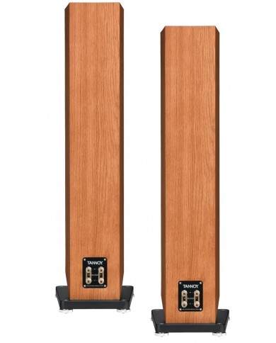 Tannoy Revolution XT 6F