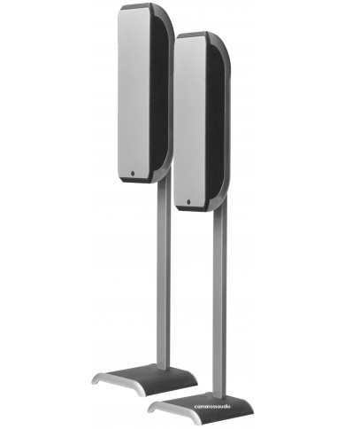 Focal ( 7. 1 ) Sib - Sib XL - Sib XXL - Cub 2