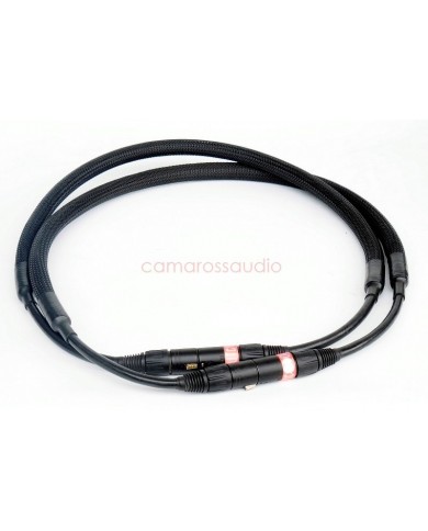 Nakamichi DRAGON Limited CD-DAC-PS