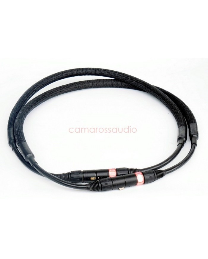 Nakamichi DRAGON Limited CD-DAC-PS