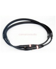 Nakamichi DRAGON Limited CD-DAC-PS