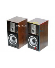 Marantz DMS-250 Digital Monitoring System