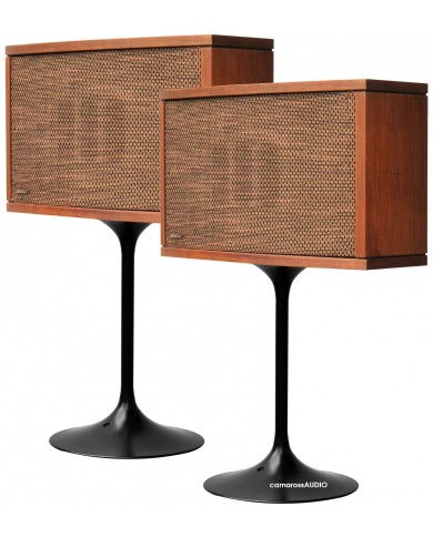 Bose 901 Series VI Direct/Reflecting Speaker