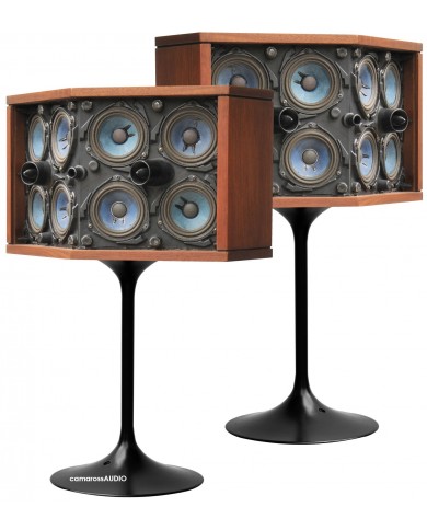 Bose 901 Series VI Direct/Reflecting Speaker