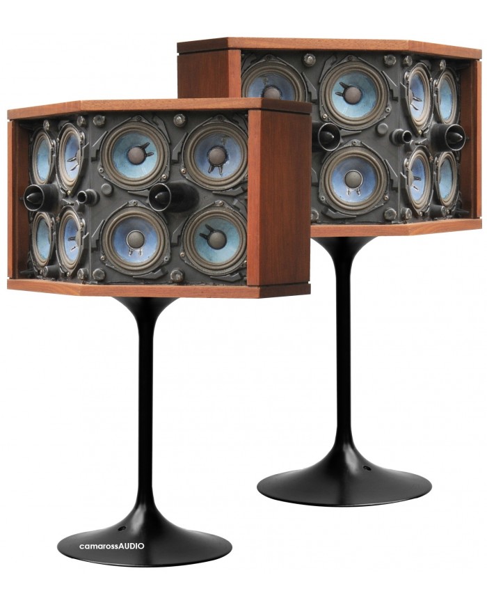 Bose 901 Series VI Direct/Reflecting Speaker