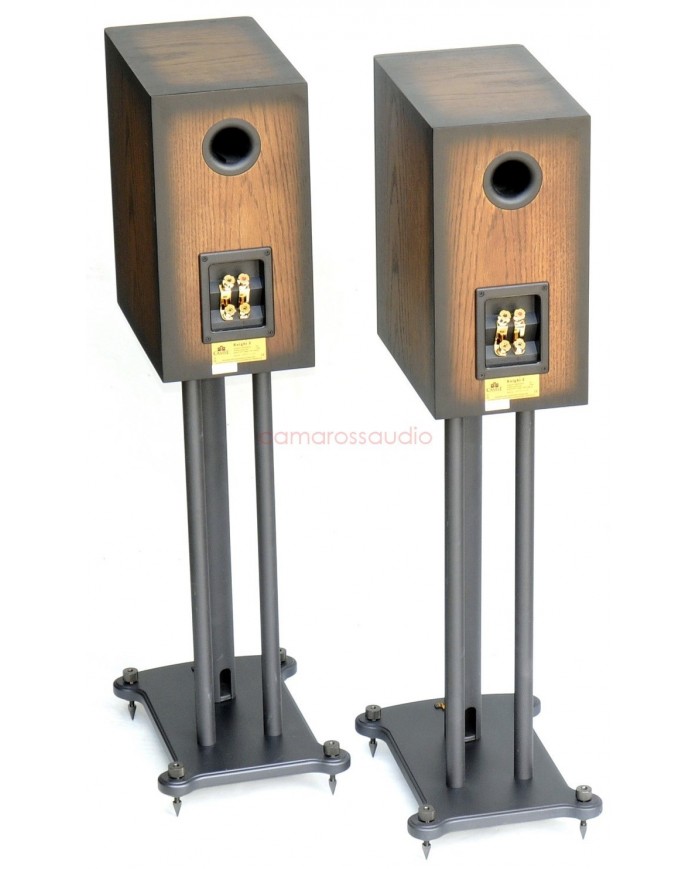 Castle Knight 2 & Plinth Stand