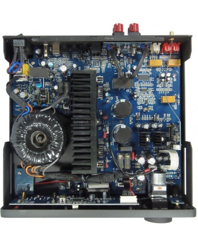 QUAD VENA ( Box ) QUAD VENA ( Box )