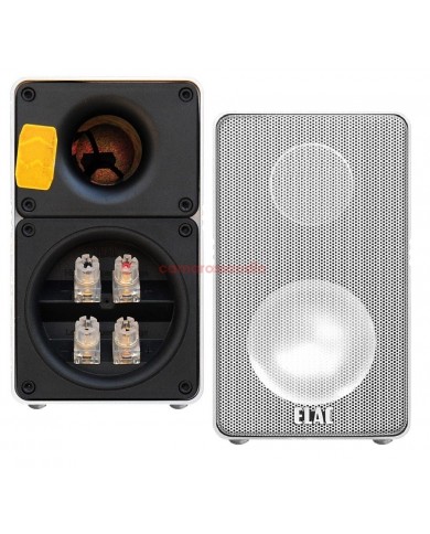 ELAC CL 305 & 211.2 ESP Active Subwoofer