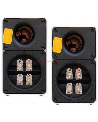 ELAC CL 305 & 211.2 ESP Active Subwoofer