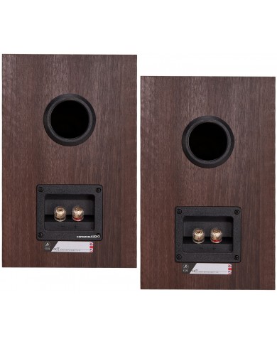 Fyne Audio F301 ( Walnut )