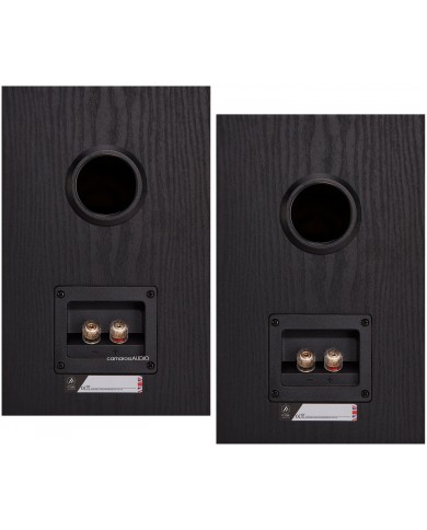 Fyne Audio F301 ( Black )