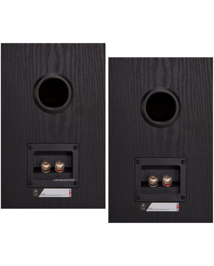 Fyne Audio F301 ( Black ) Fyne Audio F301 ( Black )