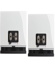 Fyne Audio F500 ( Piano Gloss White ) Fyne Audio F500 ( Piano Gloss White )
