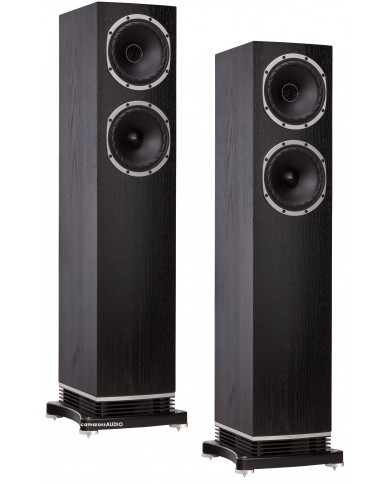 Fyne Audio F501 ( Black Oak )