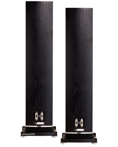 Fyne Audio F501 ( Black Oak )