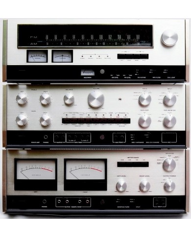 ACCUPHASE P-300 C-200 T-100 ACCUPHASE P-300 C-200 T-100