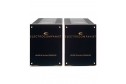 Electrocompaniet AW180 Mono block Power Amplifier