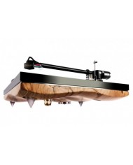 GOLD NOTE GIGLIO Walnut ( B-5.1 Tonearm )