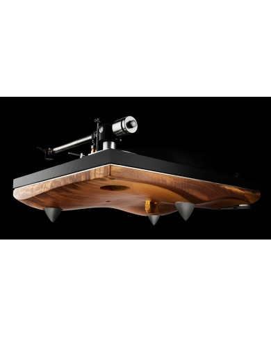 GOLD NOTE MEDITERRANEO Walnut ( B-5.1 Tonearm ) GOLD NOTE MEDITERRANEO Walnut ( B-5.1 Tonearm )