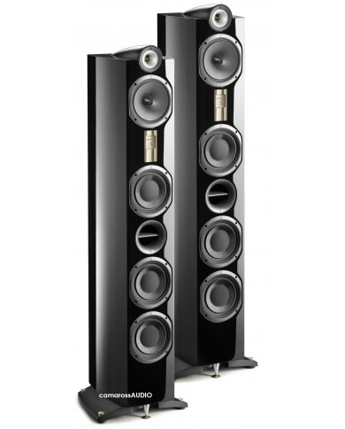 TRIANGLE Genese LYRR TRIANGLE Genese LYRR