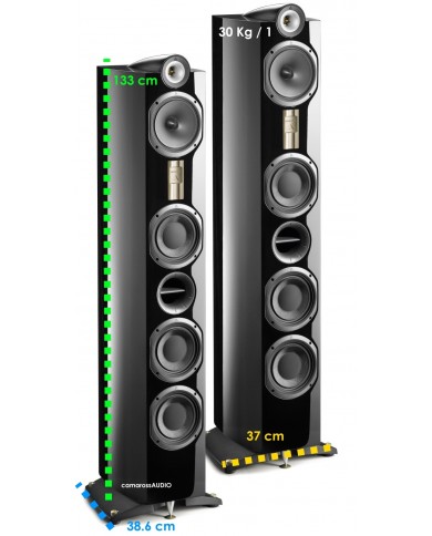 TRIANGLE Genese LYRR size TRIANGLE Genese LYRR size