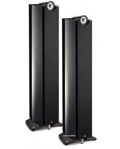 TRIANGLE Genese LYRR TRIANGLE Genese LYRR