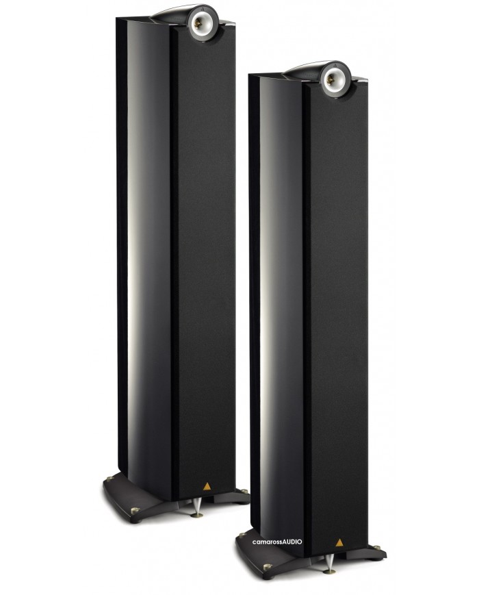 TRIANGLE Genese LYRR