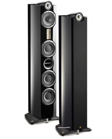 TRIANGLE Genese LYRR TRIANGLE Genese LYRR