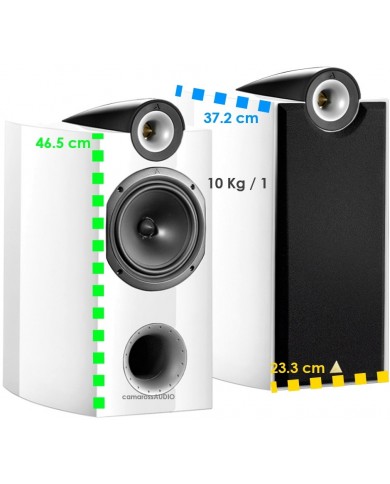 TRIANGLE Genese TRIO size TRIANGLE Genese TRIO size