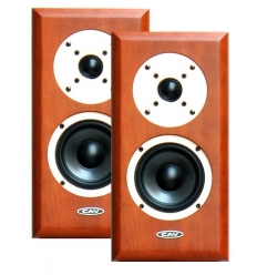 CAV DS-87 Speaker