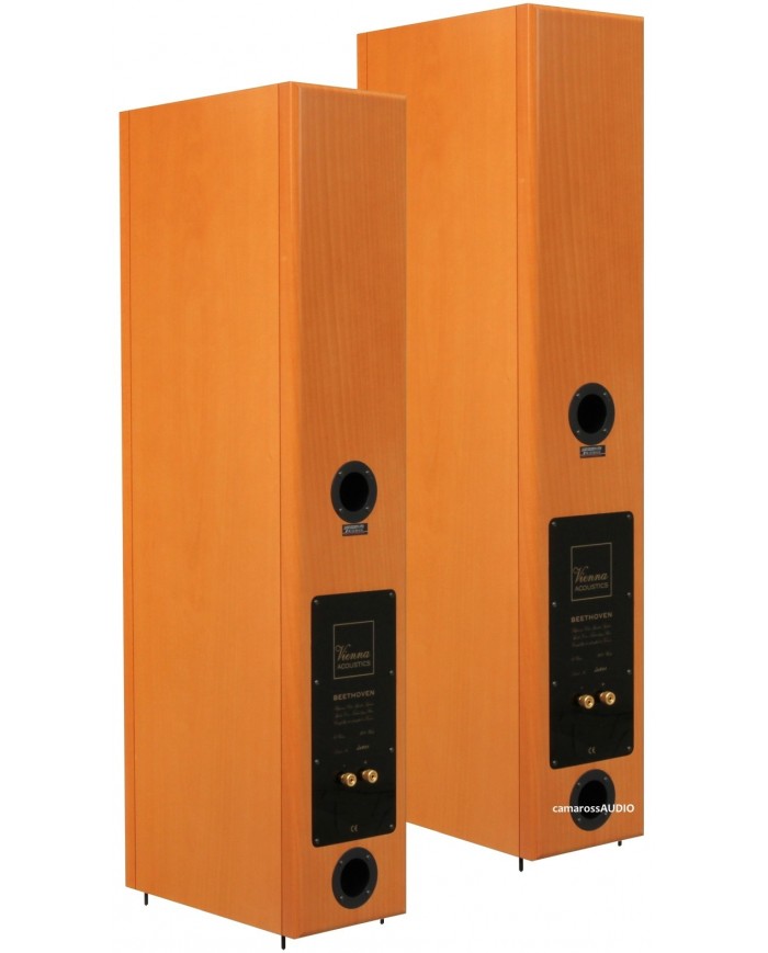 Vienna Acoustics Beethoven