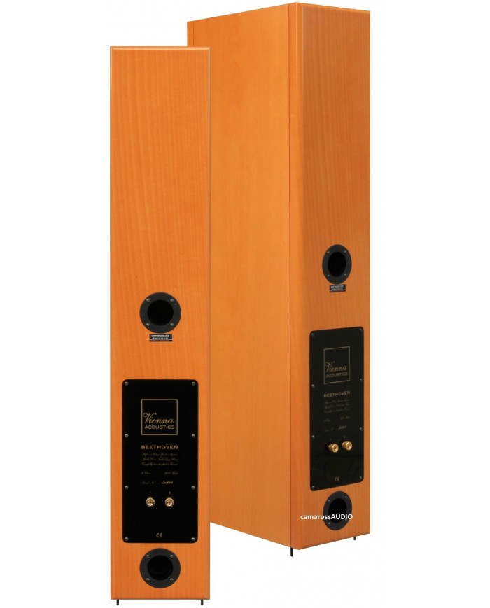 Vienna Acoustics Beethoven