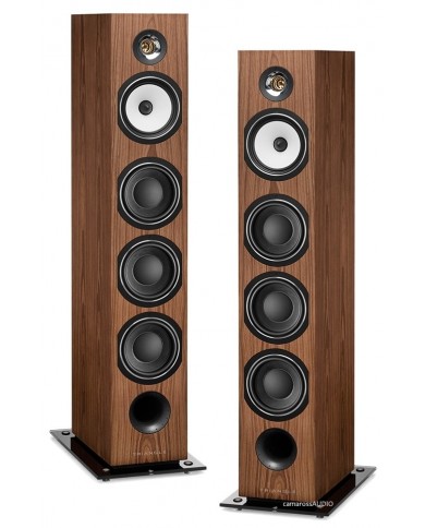 TRIANGLE Esprit Australe EZ TRIANGLE Esprit Australe EZ