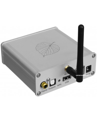 Lindemann Limetree Bridge