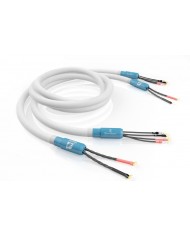 SIGNAL PROJECTS Silver Quest ( Single Wiring ) SIGNAL PROJECTS Silver Quest ( Single Wiring )