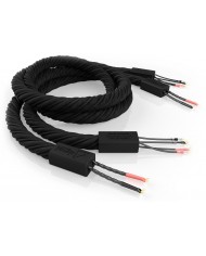 SIGNAL PROJECTS Atlantis ( Bi-Wiring ) SIGNAL PROJECTS Atlantis ( Bi-Wiring )