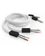 SIGNAL PROJECTS Avaton ( Bi-Wiring ) SIGNAL PROJECTS Avaton ( Bi-Wiring )