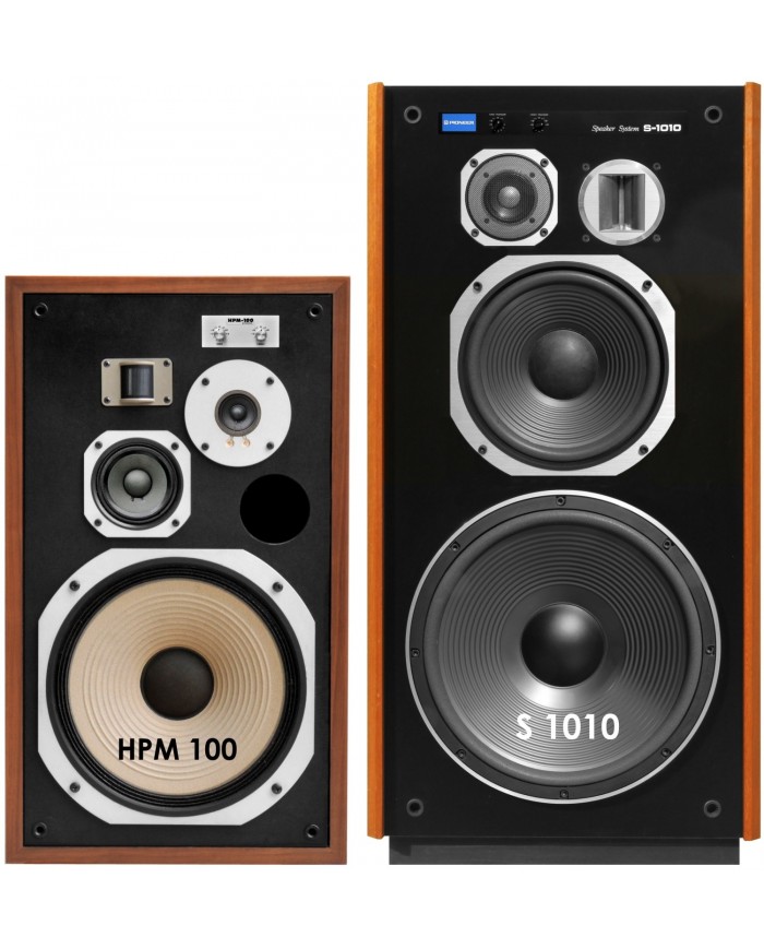 Pioneer S-1010