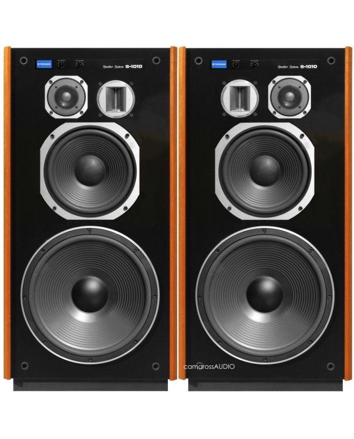 Pioneer S-1010