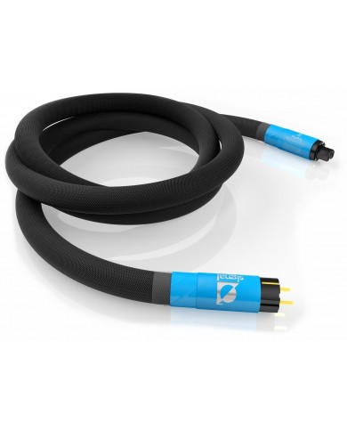 SIGNAL PROJECTS Hydra Power Cord