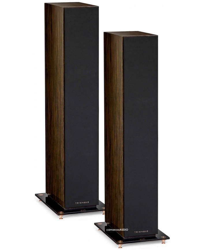 TRIANGLE 40TH ANNIVERSARY ANTAL