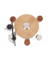 ACOUSTIC SOLID Wood Round MPX