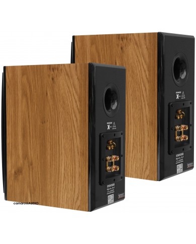 Dynavoice Definition DM-6